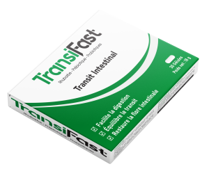 TransiFast Transit Intestinal Digestion Rhubarbe Probiotiques