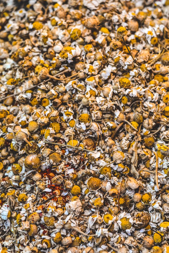 services-02 A close-up of dried chamomile flowers ideal for tea brewing and herbal remedies.